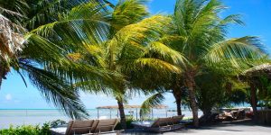 Um paraíso em Alagoas