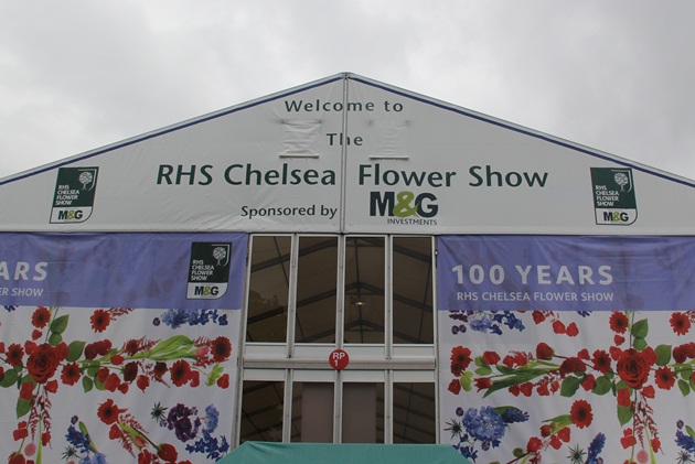 Chelsea-Flower-Show-Lari-Duarte-site-blog-100-years-how-to-go-about-