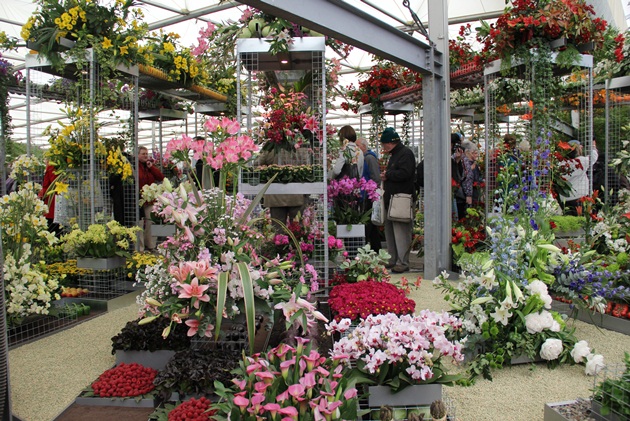 Chelsea-Flower-Show-Lari-Duarte-site-blog-100-years-how-to-go-about-