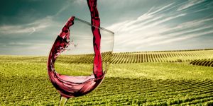 Guia de viagem: quais vinícolas visitar no Vale dos Vinhedos?